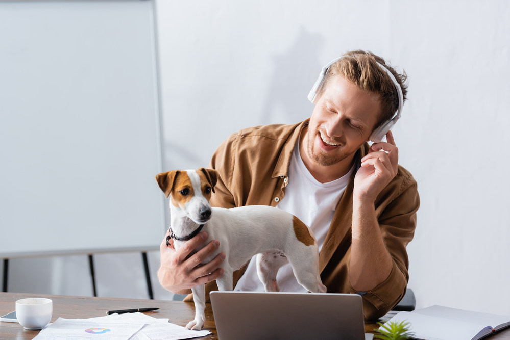 dog on office desk