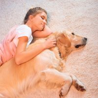 Girl with Labrador